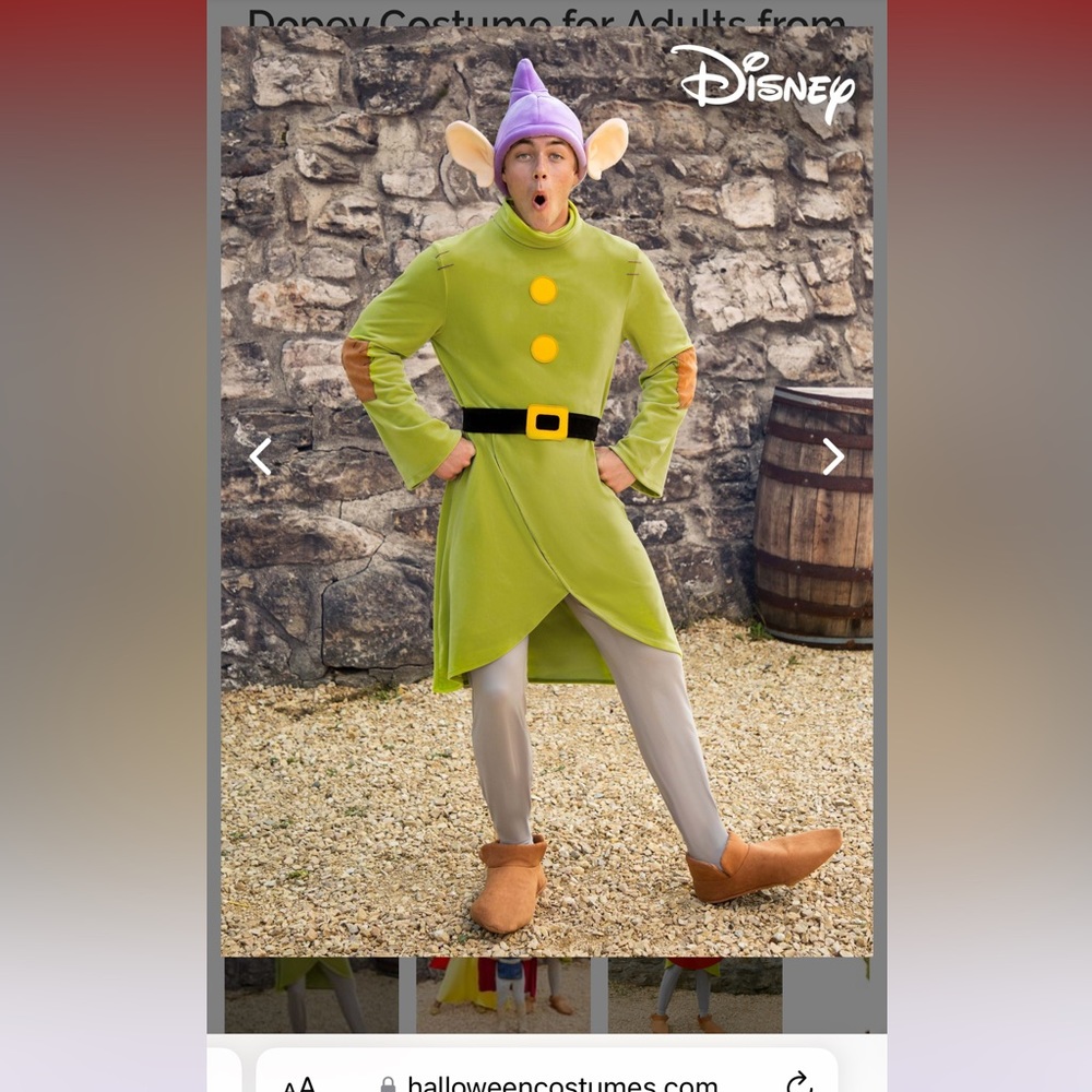 Adult Men Dopey Costume
